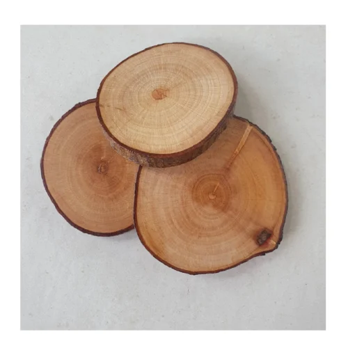 Natural Tree Bark Wooden Coasters Mango Wood Coasters Custom Wood coaster Kitchen Supplies